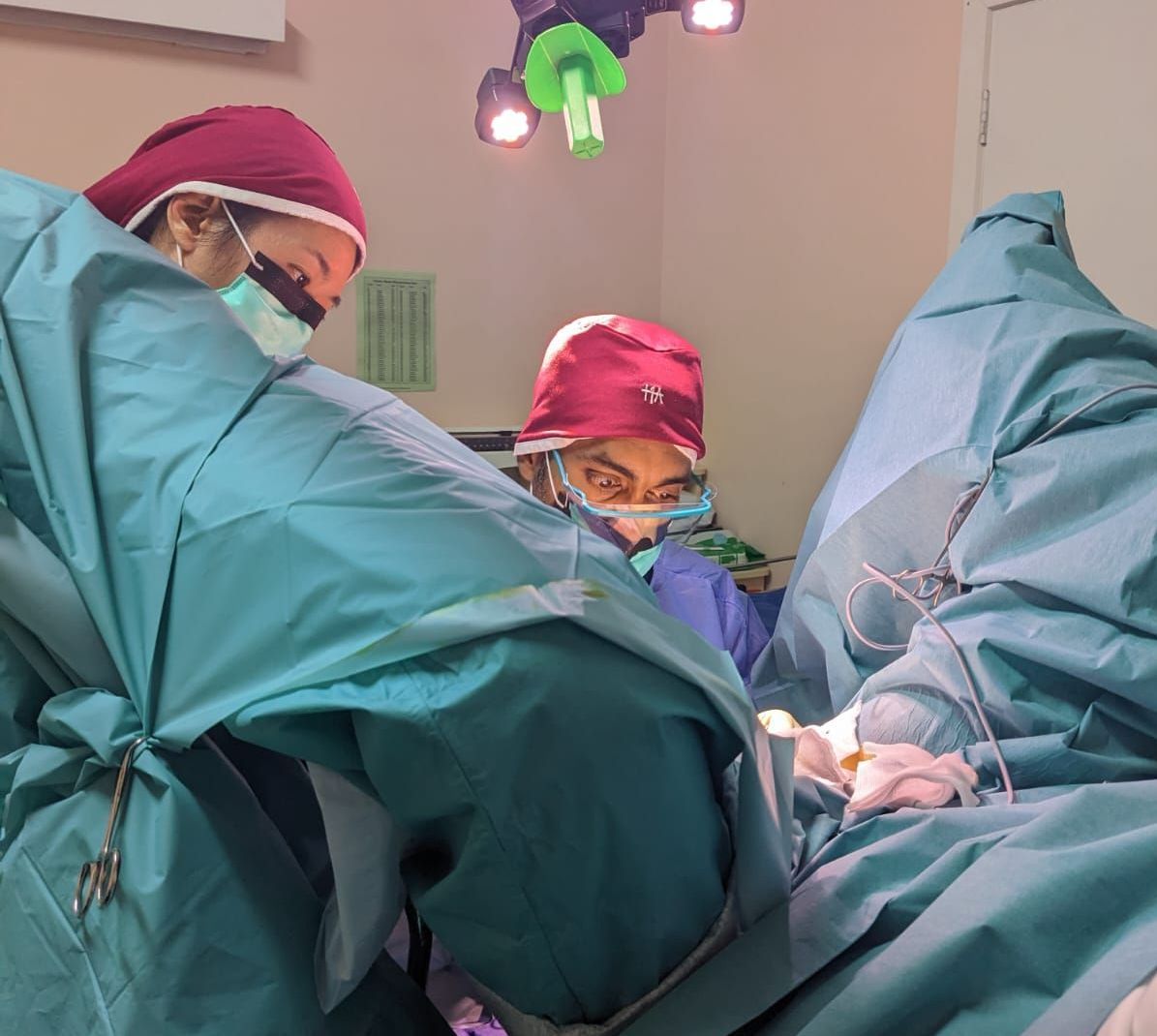 Techniques for labiaplasty in Melbourne and Tasmania including SAP labiaplasty by Dr Nara.
