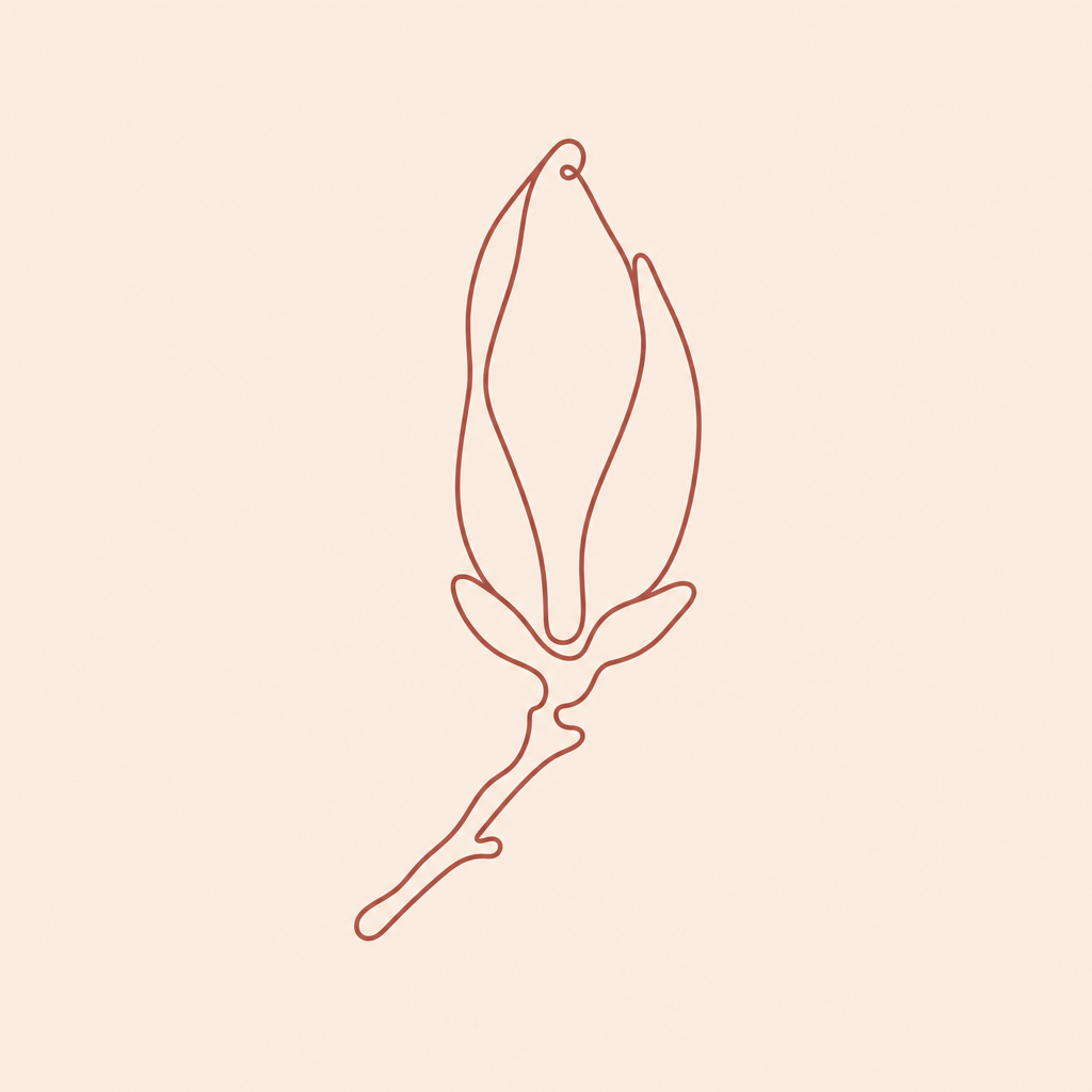 Illustration accompanying TGA Update on Vaginal Rejuvenation Treatments