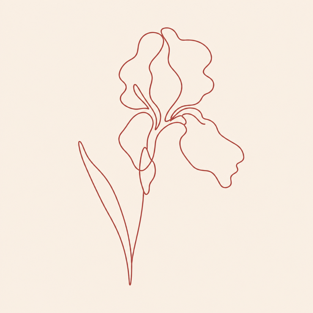 Illustration accompanying Understanding Labiaplasty in Melbourne
